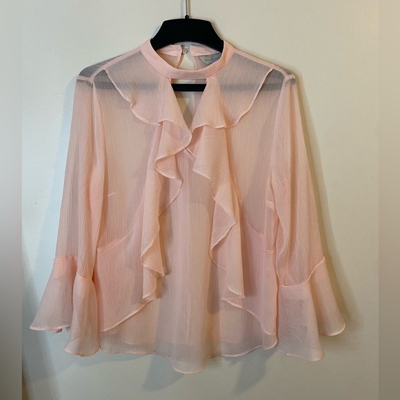 Belle Sky Light Pink Sheer Ruffle Blouse bell sleeves size Large - Picture 1 of 8
